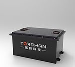 36 V Lithium Ion Golfwagen Akku